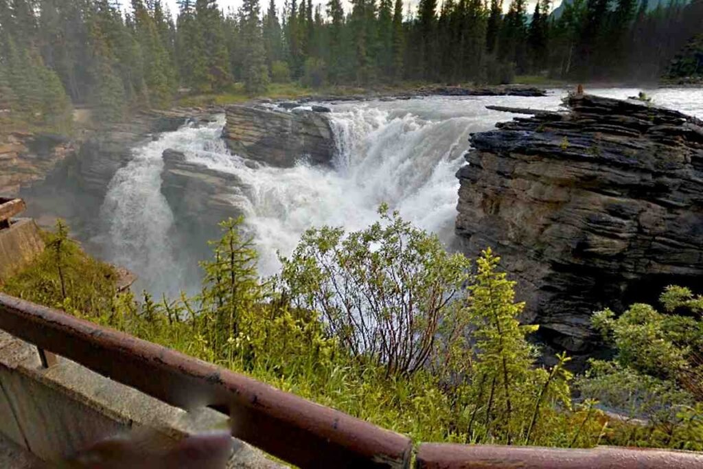 Albert Waterfalls
